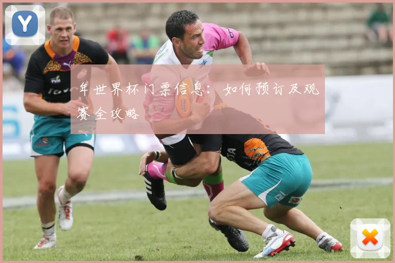 年世界杯门票信息:如何预订及观赛全攻略