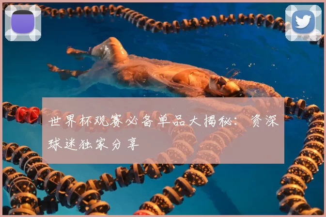 世界杯观赛必备单品大揭秘:资深球迷独家分享