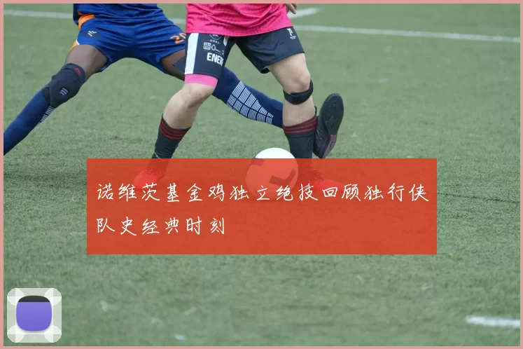诺维茨基金鸡独立绝技回顾独行侠队史经典时刻