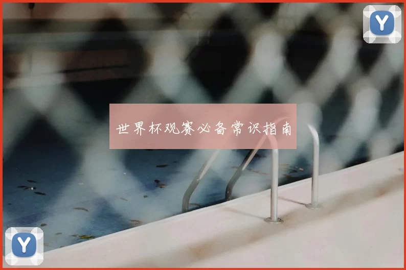 世界杯观赛必备常识指南