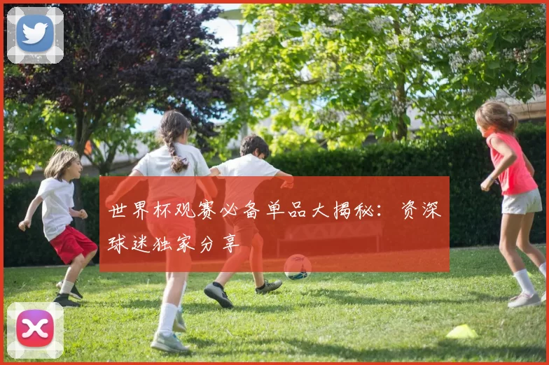 世界杯观赛必备单品大揭秘：资深球迷独家分享