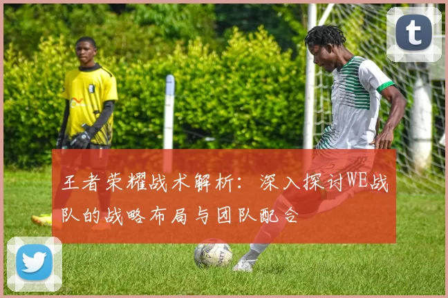 王者荣耀战术解析：深入探讨WE战队的战略布局与团队配合