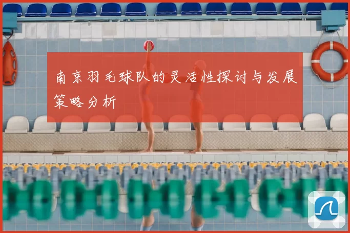 南京羽毛球队的灵活性探讨与发展策略分析