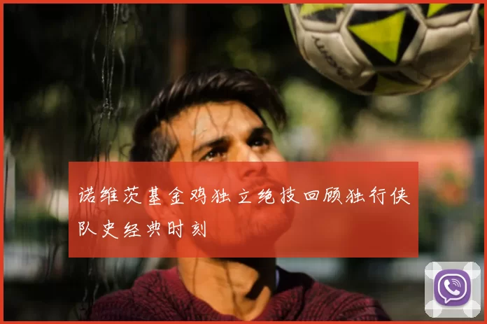 诺维茨基金鸡独立绝技回顾独行侠队史经典时刻