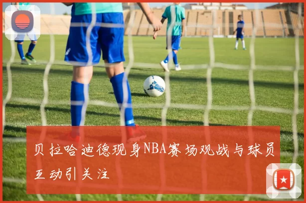 贝拉哈迪德现身NBA赛场观战与球员互动引关注