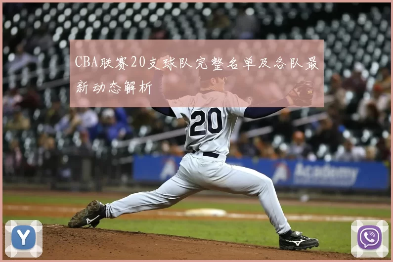 CBA联赛20支球队完整名单及各队最新动态解析