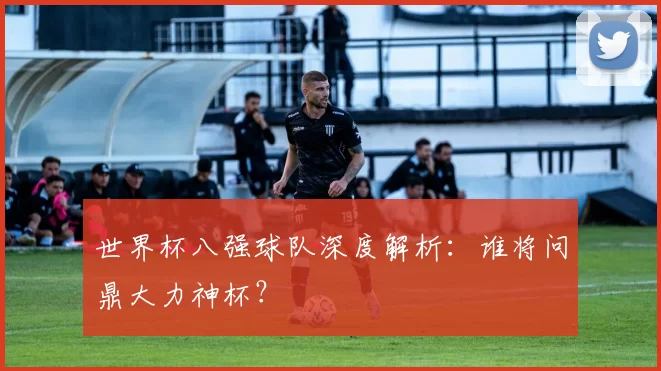 世界杯八强球队深度解析:谁将问鼎大力神杯?