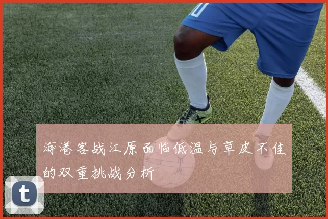 海港客战江原面临低温与草皮不佳的双重挑战分析