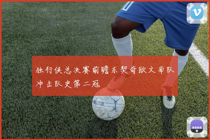 独行侠总决赛前瞻东契奇欧文率队冲击队史第二冠