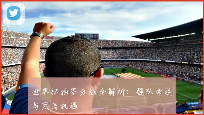 世界杯抽签分组全解析：强队命运与黑马机遇