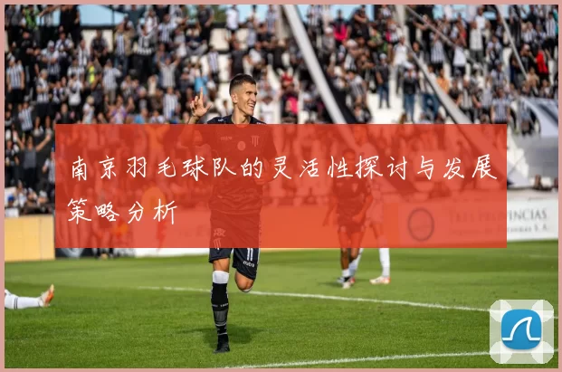 南京羽毛球队的灵活性探讨与发展策略分析