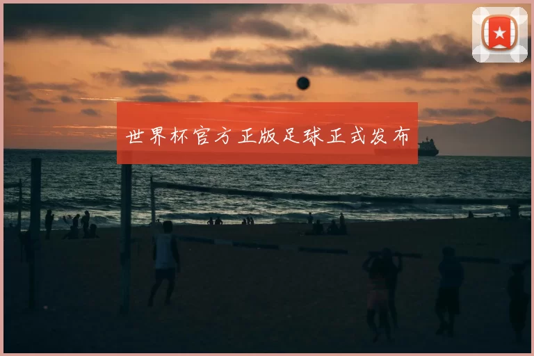 世界杯官方正版足球正式发布