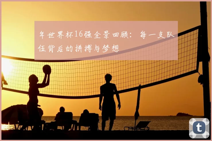 年世界杯16强全景回顾:每一支队伍背后的拼搏与梦想