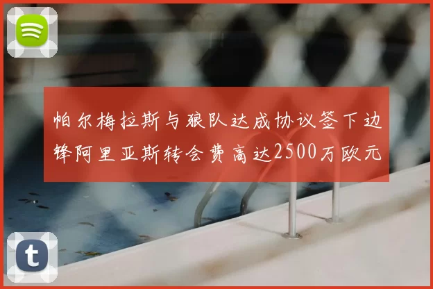 帕尔梅拉斯与狼队达成协议签下边锋阿里亚斯转会费高达2500万欧元
