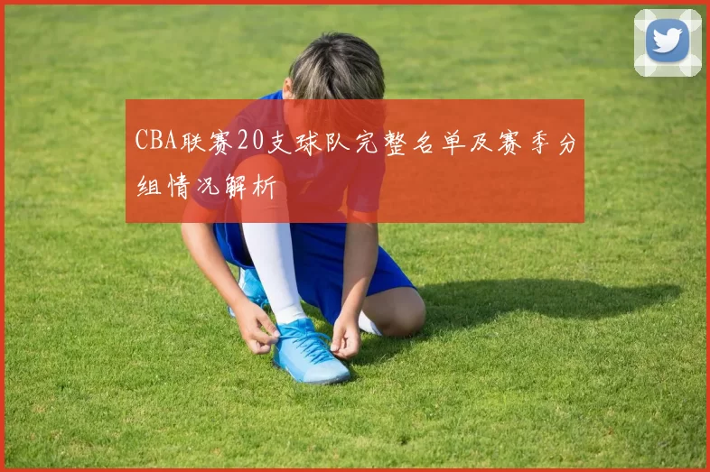 CBA联赛20支球队完整名单及赛季分组情况解析