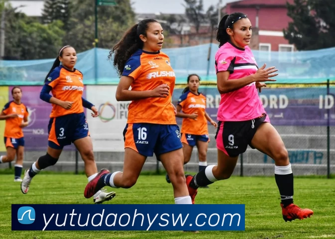 App Interface Preview